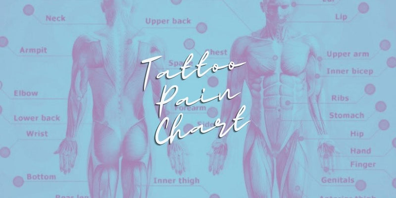 The Most and Least Painful Spots To Get A Tattoo The Tattoo Pain Guide with Tattoo Pain Chart