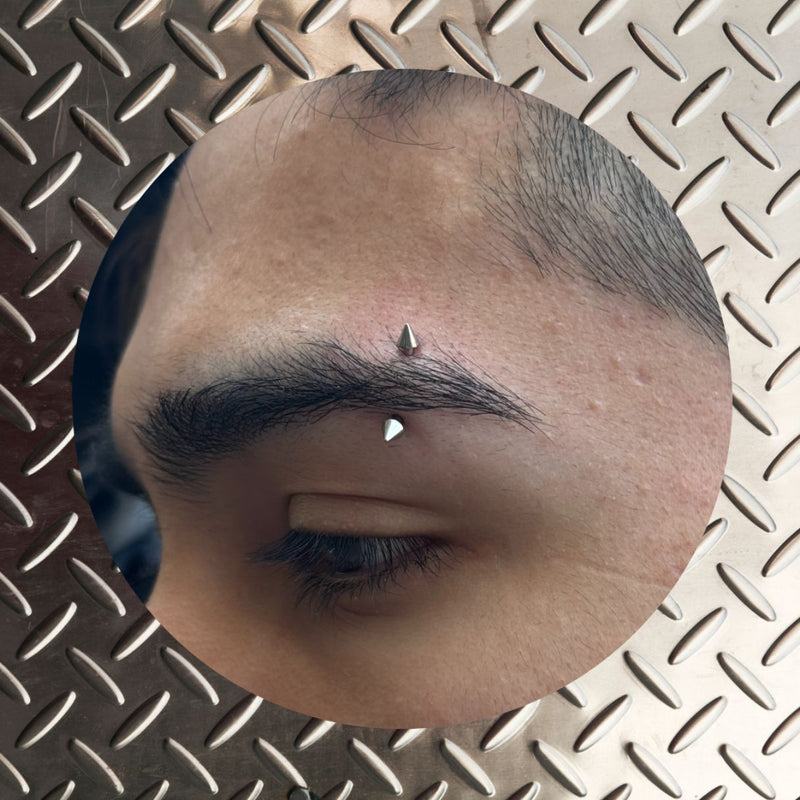 Titanium Internally Threaded Spiked End Curved Barbell