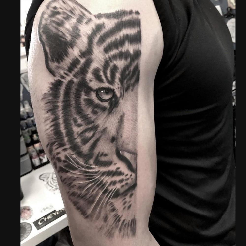 Realistic Tiger Tattoo Best Tatto Shop and Tattoo Artists Mr. Inkwells
