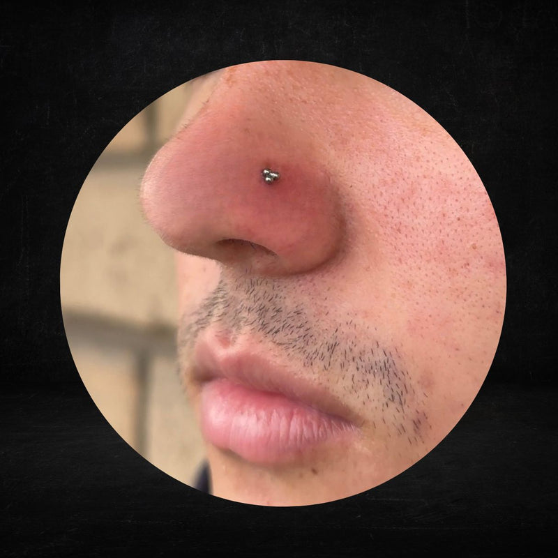 Titanium Threadless Push in Flat Back Tri-Ball Trinity Earring