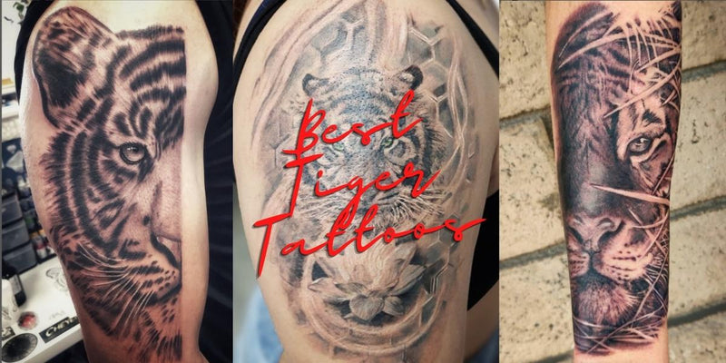 10 Best Tiger Tattoo Ideas: Best Ideas for Tiger Tattoos