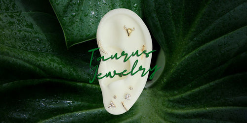 Taurus Piercing Jewelry Ideas Best Taurus Body Jewelry