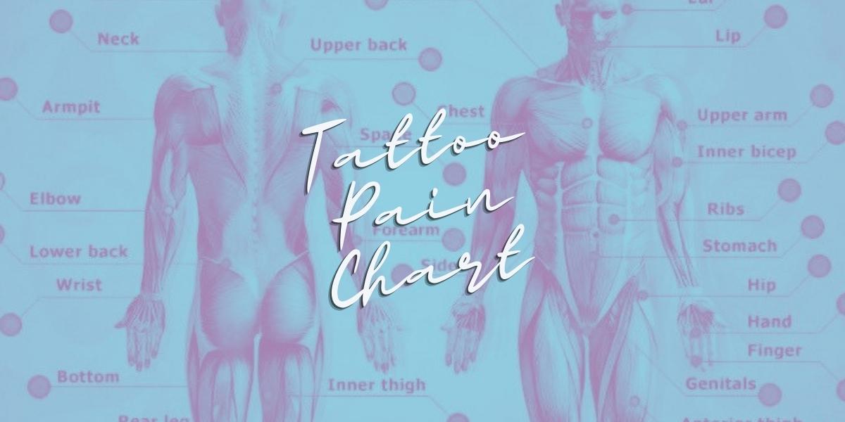 Tattoo Pain Chart for Females and Males: Pain Scale Level