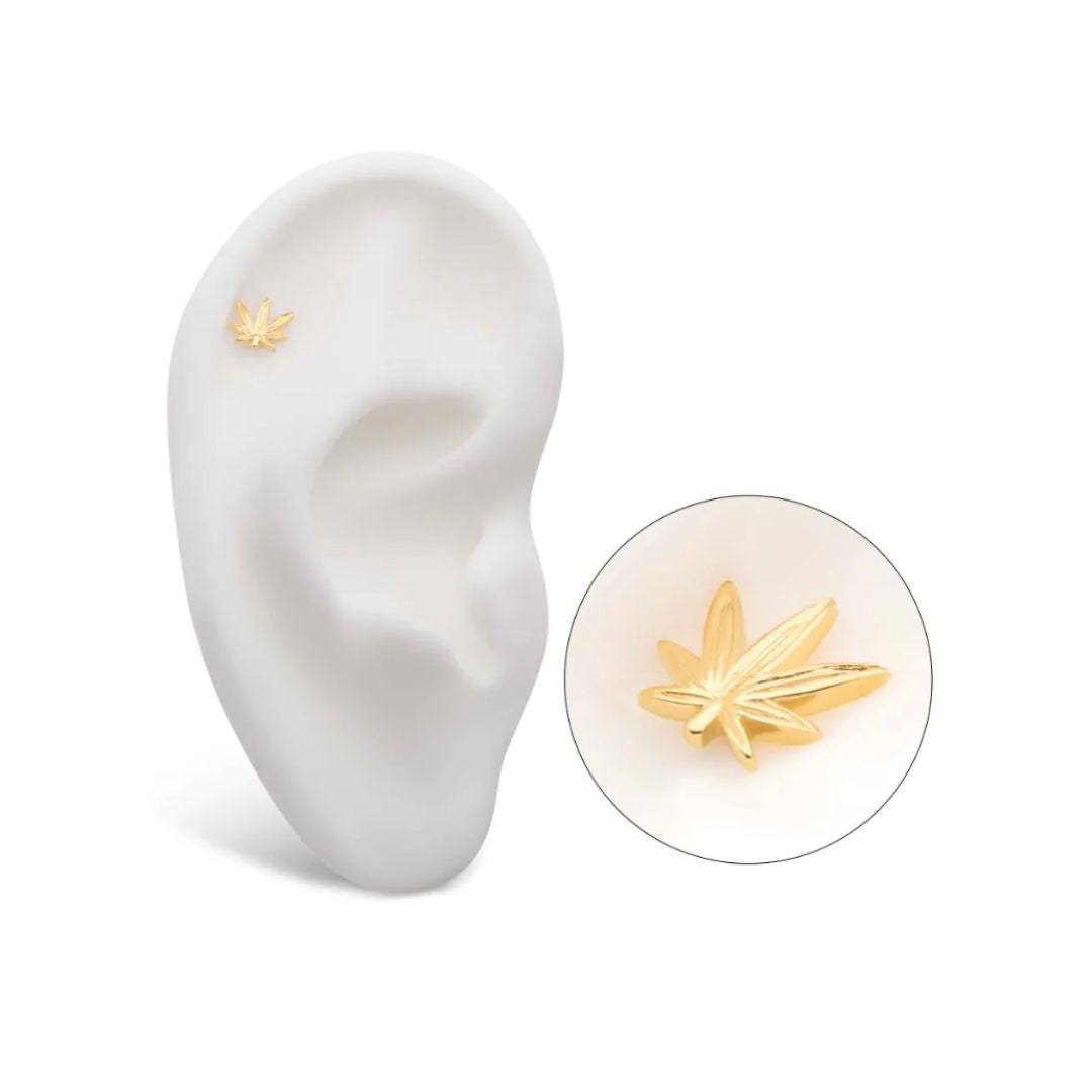14K Gold Threadless Weed Leaf 420 Earring with Titanium Flat Back Earring