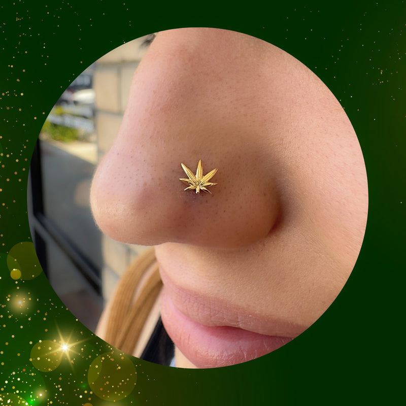 14K Gold Threadless Weed Leaf 420 Earring with Titanium Flat Back Earring