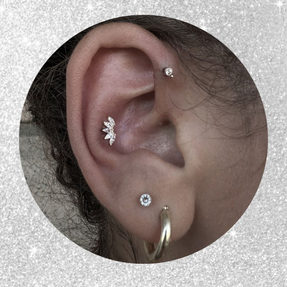 conch Piercing Service and Pricing Mr. Inkwells Piercing and Tattoo shop 