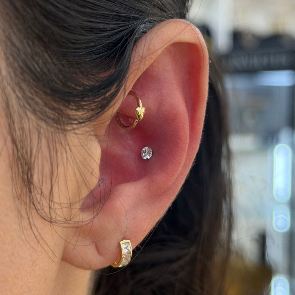 Conch Piercing