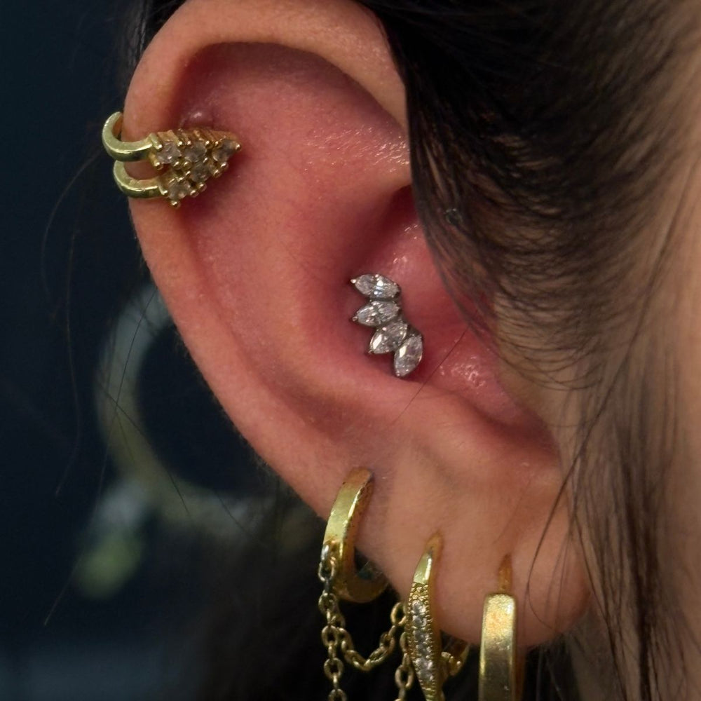 Conch Piercing