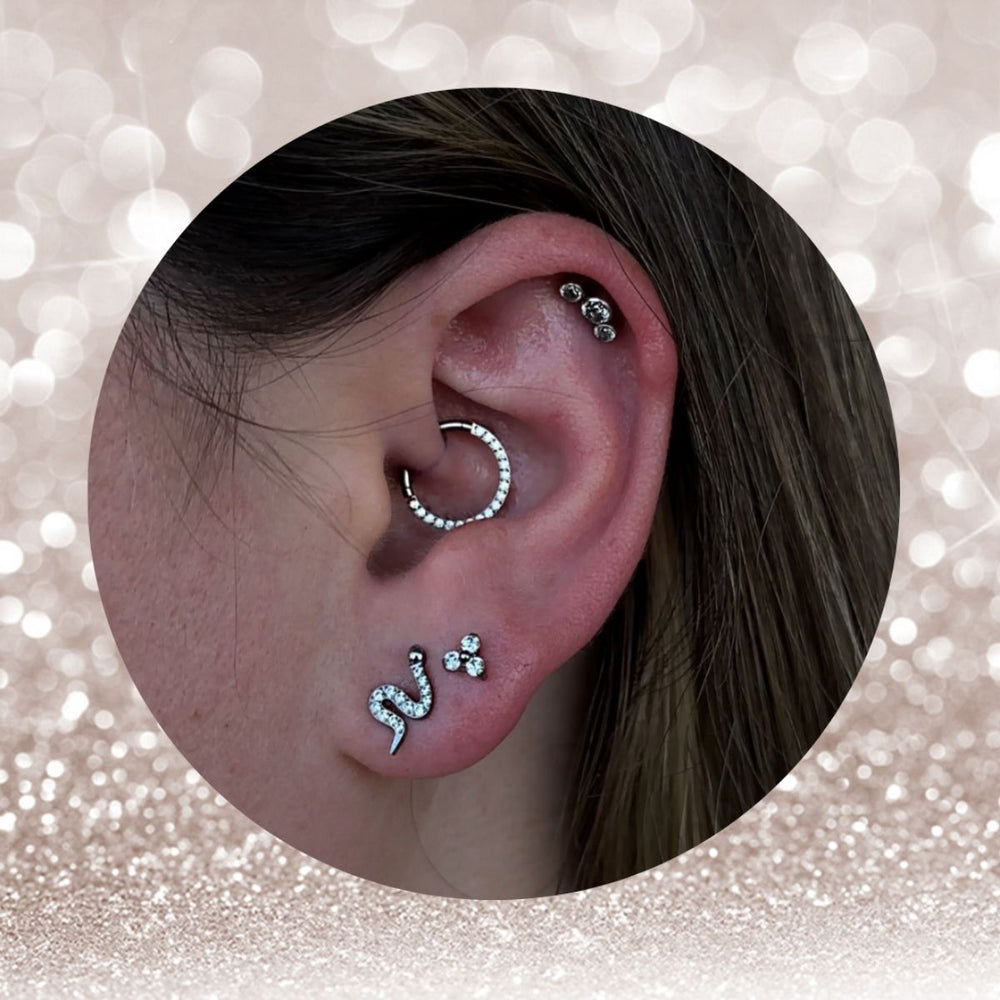 Daith Piercing Service and Pricing Mr. Inkwells Piercing and Tattoo shop 