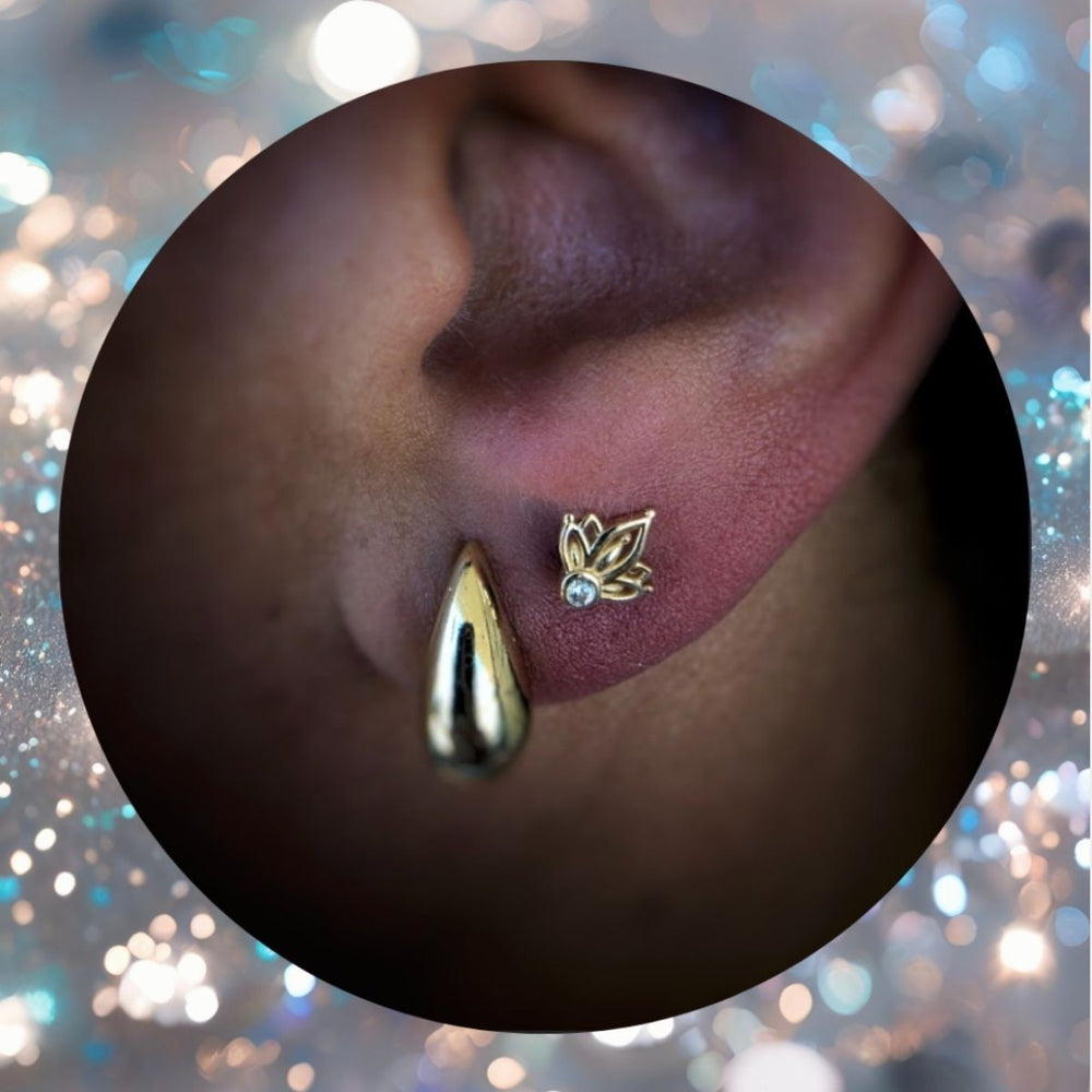 Ear Lobe Piercing