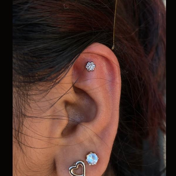 Flat Piercing Mr. Inkwells Tattoo  and Piercing Shop