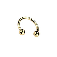 Titanium Circular Barbell