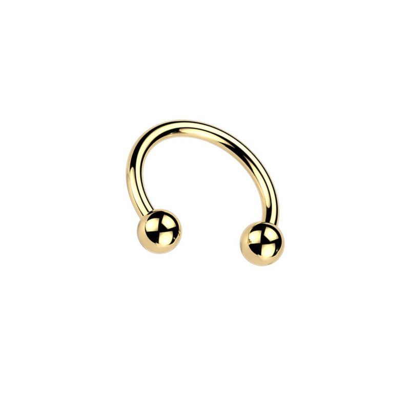 Titanium Circular Barbell