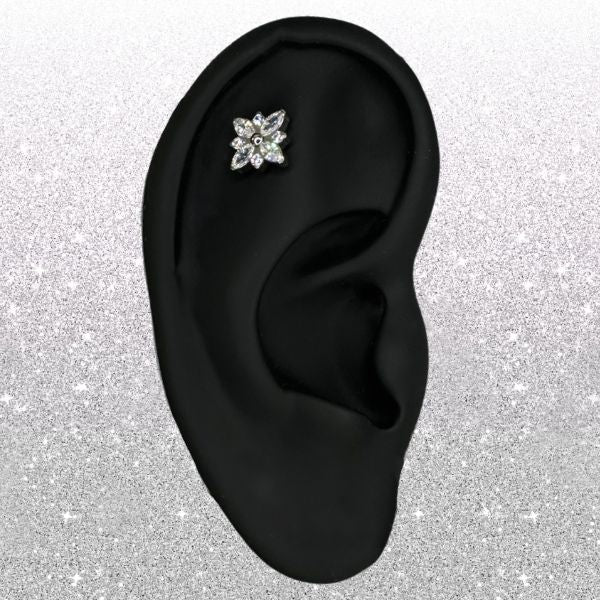 Titanium Threadless CZ Flower Marquis Top with Titanium Backing