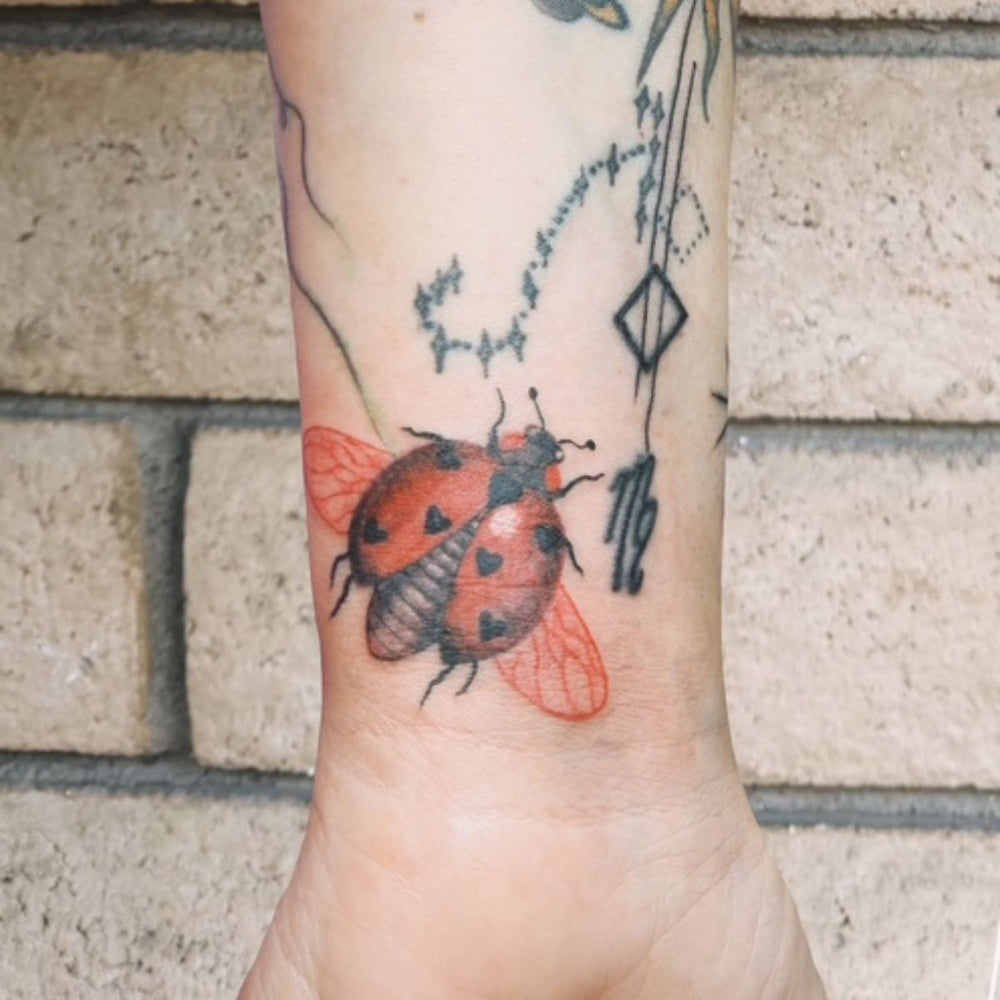 Ladybug Color Tattoo