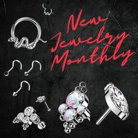 New Body Jewelry Every Month with Jewelry Box Subscription Jewelry Box