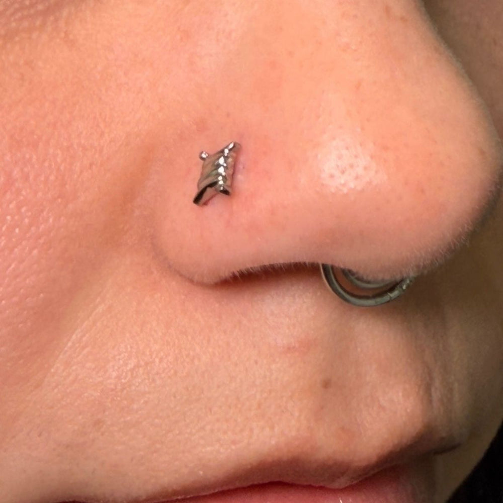 Nose Piercing