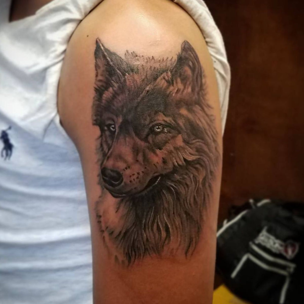 Realistic Wolf Tattoo