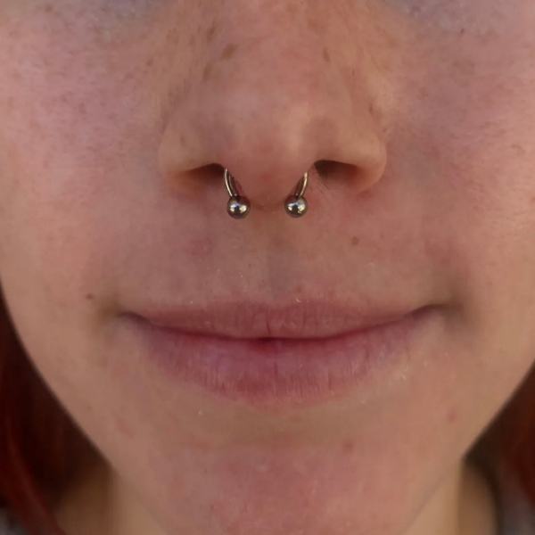 Septum Piericng Mr. Inkwells Tattoo  and Piercing Shop