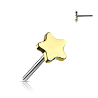 Gold Titanium Threadless Push in Flat Back Star Earring