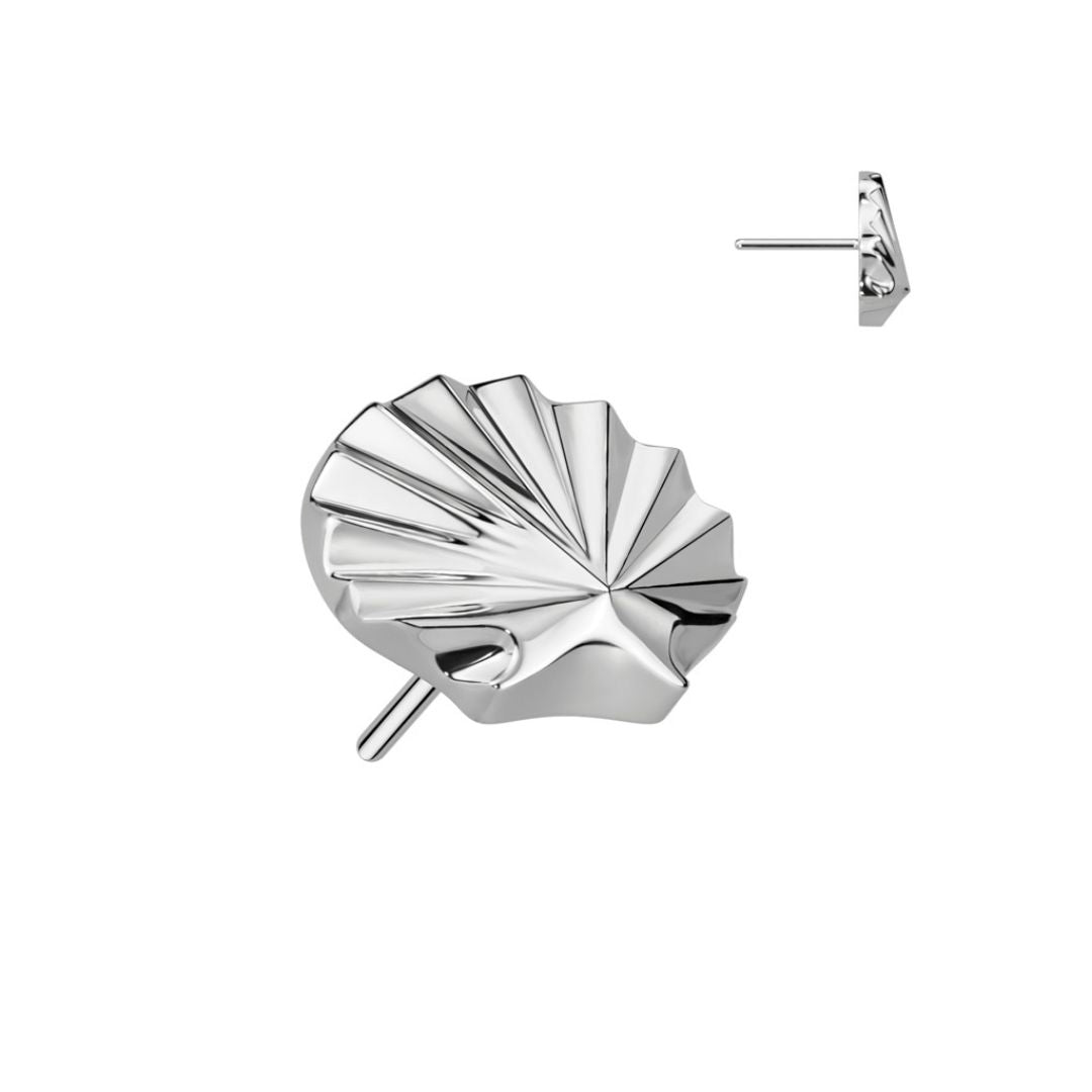 Titanium Threadless  Push In Flat Back Seashell Earring