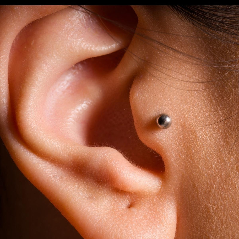 Tragus Piercing Service and Pricing Mr. Inkwells Piercing and Tattoo shop 