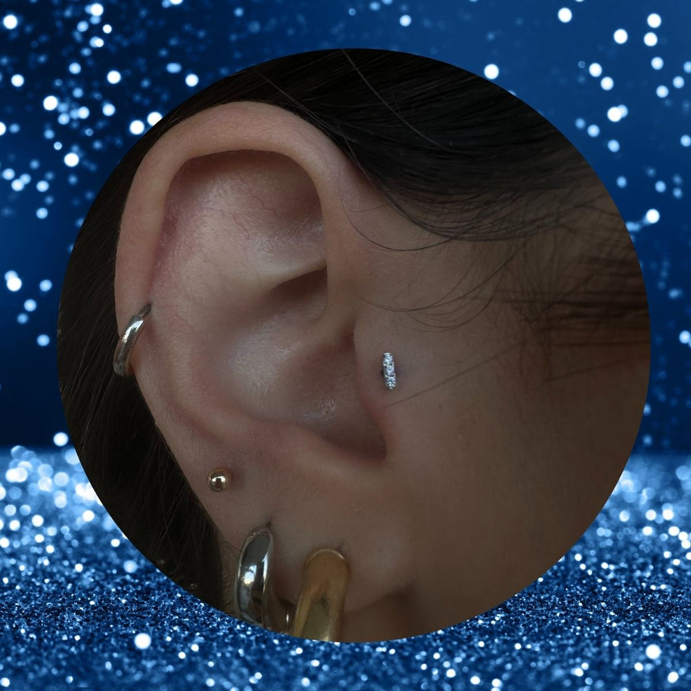 Tragus Piercing Service and Pricing Mr. Inkwells Piercing and Tattoo shop 